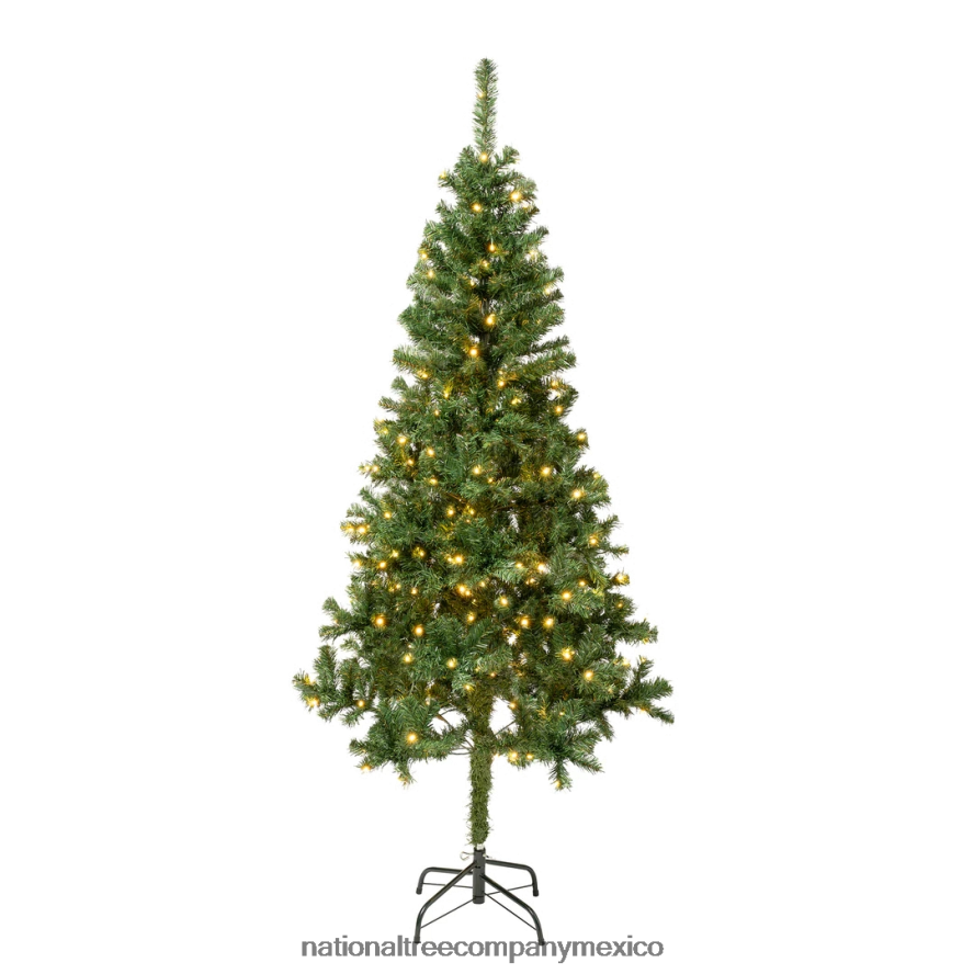 árboles | mx National Tree Company árbol de Navidad artificial de abeto y tilo preiluminado de primeras tradiciones, luces LED de color blanco cálido, enchufable, 6 pies 8JB84J184
