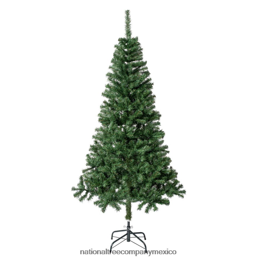 árboles | mx National Tree Company Árbol de Navidad artificial envuelto en abeto y tilo de primeras tradiciones, resistente al fuego e hipoalergénico, 6 pies 8JB84J25
