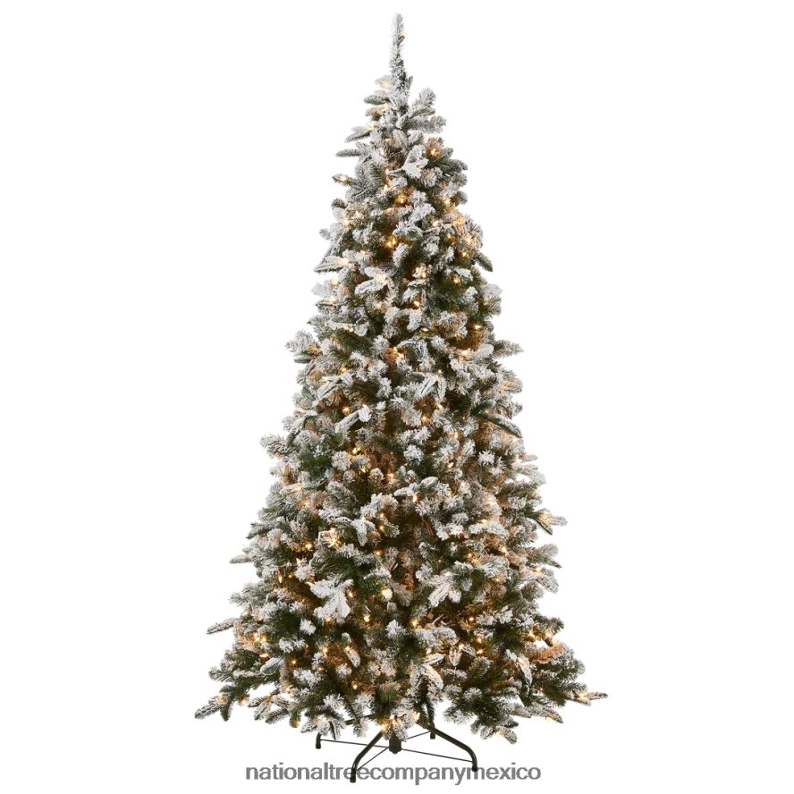árboles | mx National Tree Company árbol de Navidad artificial preiluminado 'feel real', abeto Everest, luces verdes, blancas, incluye soporte, 6,5 pies 8JB84J146