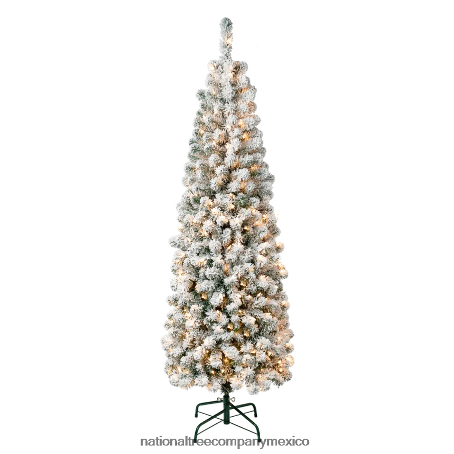 árboles | mx National Tree Company Árbol de Navidad delgado de acacia preiluminado de primeras tradiciones, luces incandescentes transparentes, enchufable, 6 pies 8JB84J117