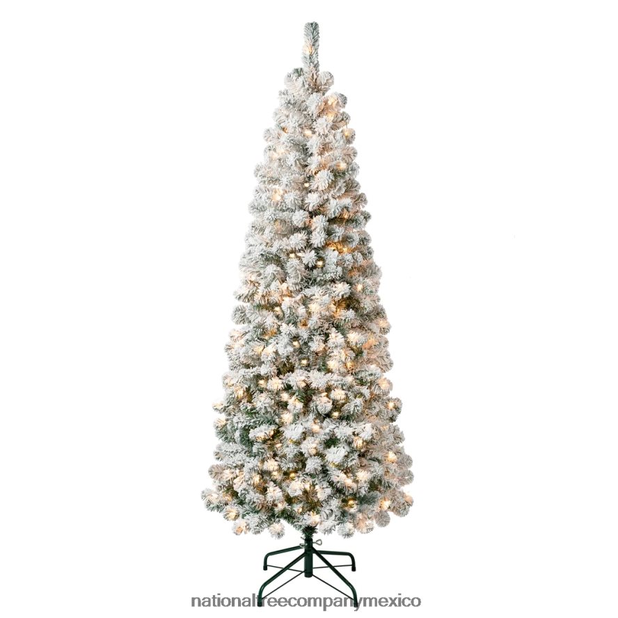 árboles | mx National Tree Company Árbol de Navidad mediano de acacia preiluminado de primeras tradiciones, luces incandescentes transparentes, enchufable, 6 pies 8JB84J41