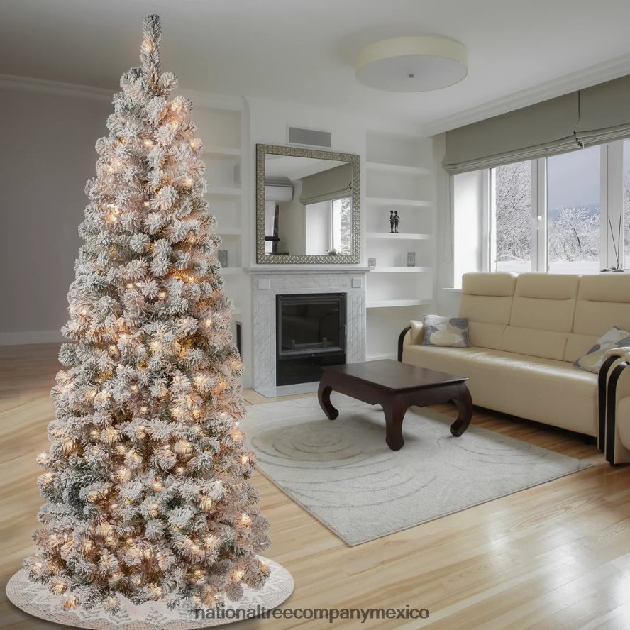 árboles | mx National Tree Company Árbol de Navidad mediano de acacia preiluminado de primeras tradiciones, luces incandescentes transparentes, enchufable, 6 pies 8JB84J41