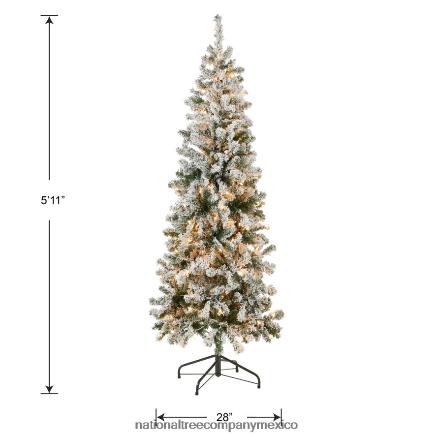 árboles | mx National Tree Company Árbol de Navidad mediano de acacia preiluminado de primeras tradiciones, luces incandescentes transparentes, enchufable, 6 pies 8JB84J41