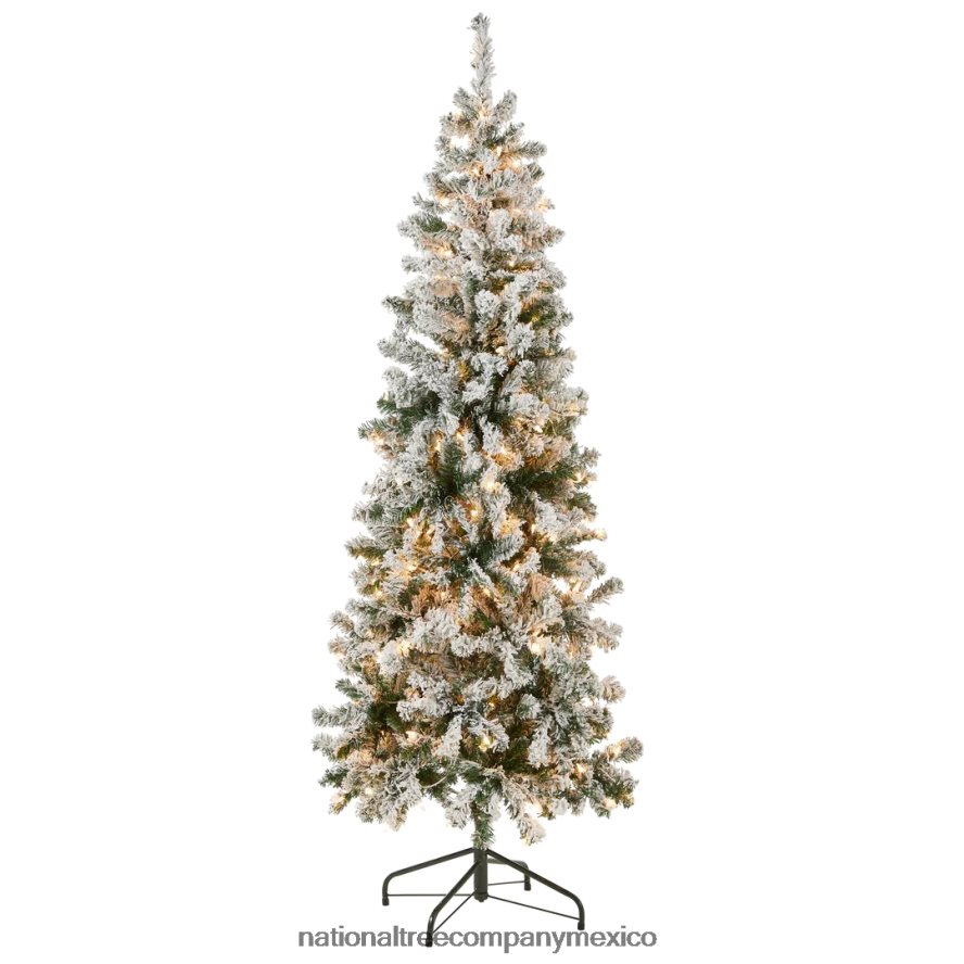 árboles | mx National Tree Company Árbol de Navidad mediano de acacia preiluminado de primeras tradiciones, luces incandescentes transparentes, enchufable, 6 pies 8JB84J41