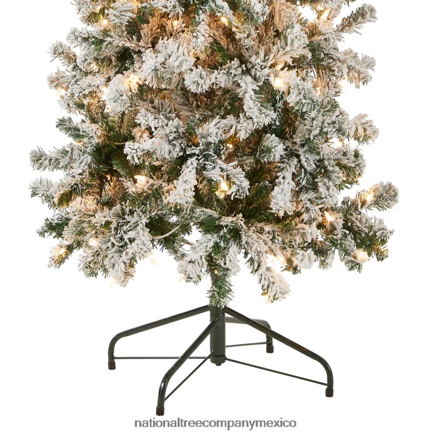 árboles | mx National Tree Company Árbol de Navidad mediano de acacia preiluminado de primeras tradiciones, luces incandescentes transparentes, enchufable, 6 pies 8JB84J41