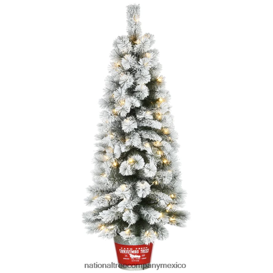 árboles | mx National Tree Company Árbol de entrada navideño artificial preiluminado, pino pogue nevado, con luces LED de color blanco cálido, enchufable, 5 pies 8JB84J169