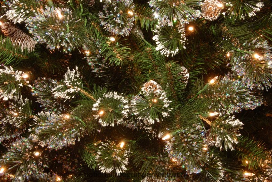 árboles | mx National Tree Company árbol de Navidad artificial delgado preiluminado, verde, pino con cerdas brillantes, luces blancas, flocado con piñas, ramas esmeriladas, incluye soporte, 7.5 pies 8