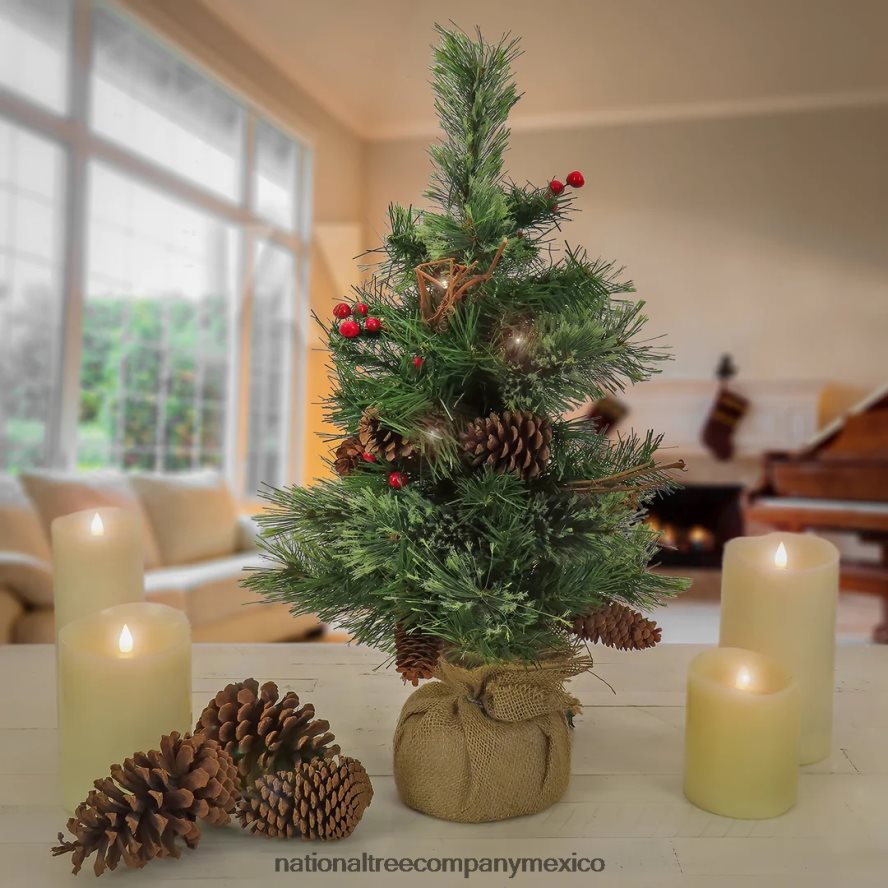 árboles | mx National Tree Company Pequeño árbol de pino reluciente de 24
