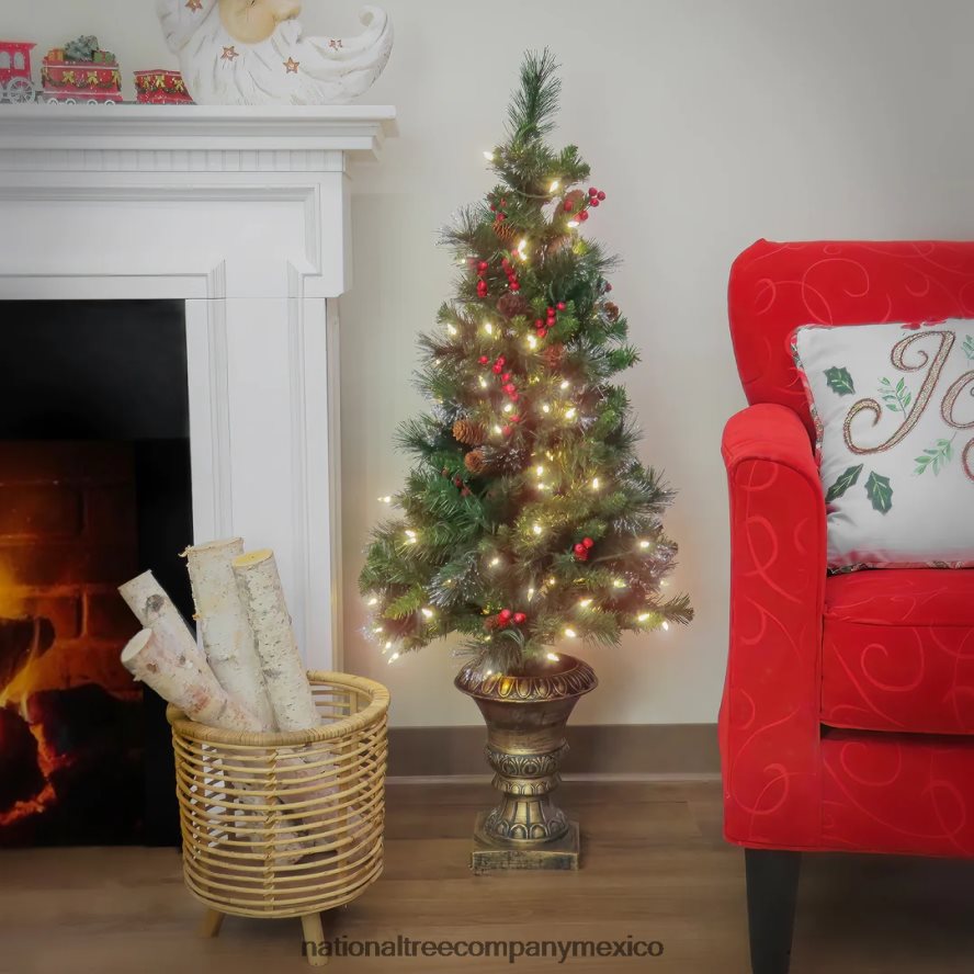 árboles | mx National Tree Company Árbol de entrada de abeto crestado de 4 pies con luces LED de color blanco cálido 8JB84J10