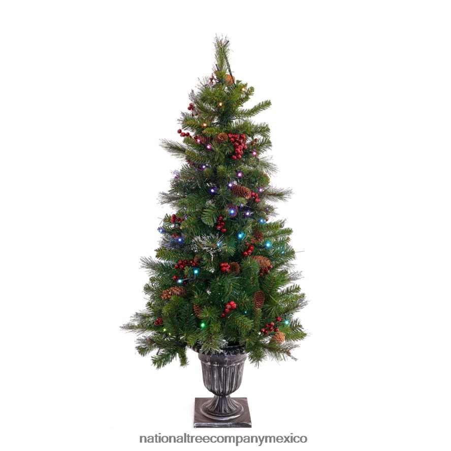 árboles | mx National Tree Company Árbol de entrada de abeto de 4 pies con luces LED parpadeantes 8JB84J130