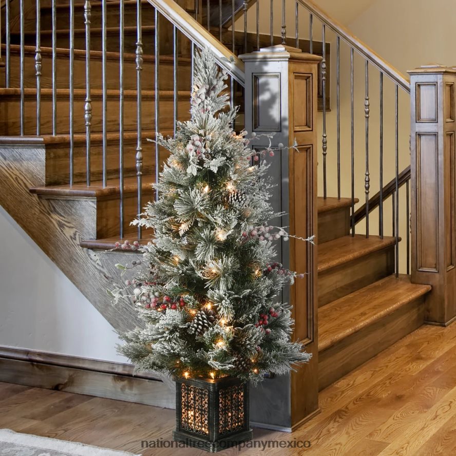 árboles | mx National Tree Company Árbol de entrada de pino Bedford nevado de 4 pies con luces claras 8JB84J16