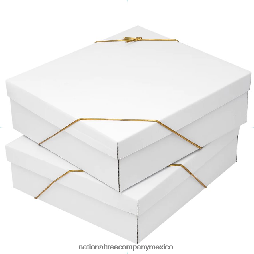 decoración | mx National Tree Company Juego de adornos para árbol de Navidad de 20 piezas, colección Viena Waltz 8JB84J526