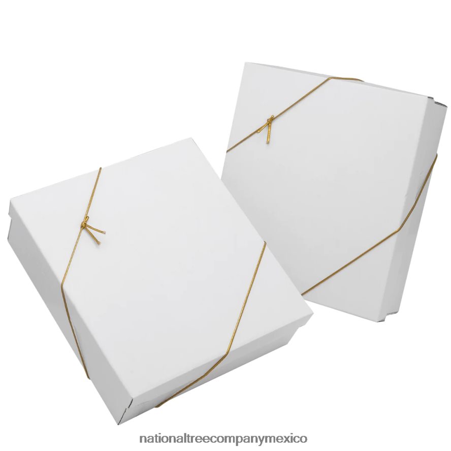 decoración | mx National Tree Company Juego de adornos para árbol de Navidad de 20 piezas, colección alpina 8JB84J586