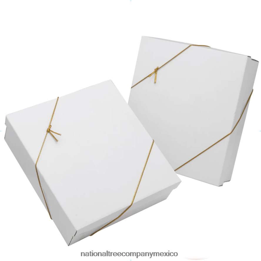 decoración | mx National Tree Company Juego de adornos para árbol de Navidad de 20 piezas, colección de casas rurales 8JB84J540