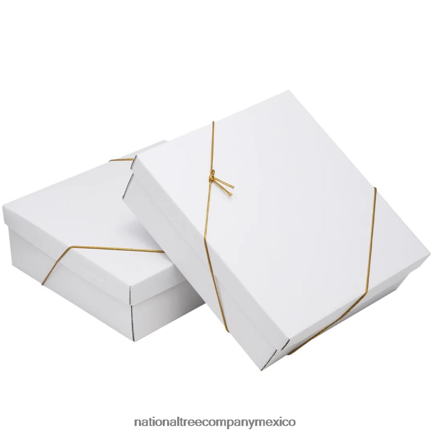 decoración | mx National Tree Company Juego de adornos para árbol de Navidad de 20 piezas, colección general de tiendas 8JB84J530