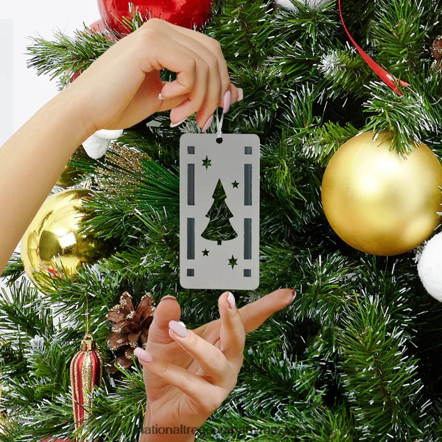 decoración | mx National Tree Company Aromas, trío de adornos, juego de 3, botella, palo de 6 piezas, abeto de invierno blanco. 8JB84J547