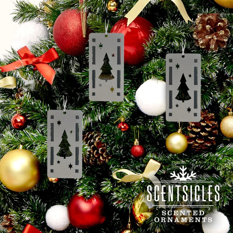 decoración | mx National Tree Company Aromas, trío de adornos, juego de 3, botella, palo de 6 piezas, abeto de invierno blanco. 8JB84J547