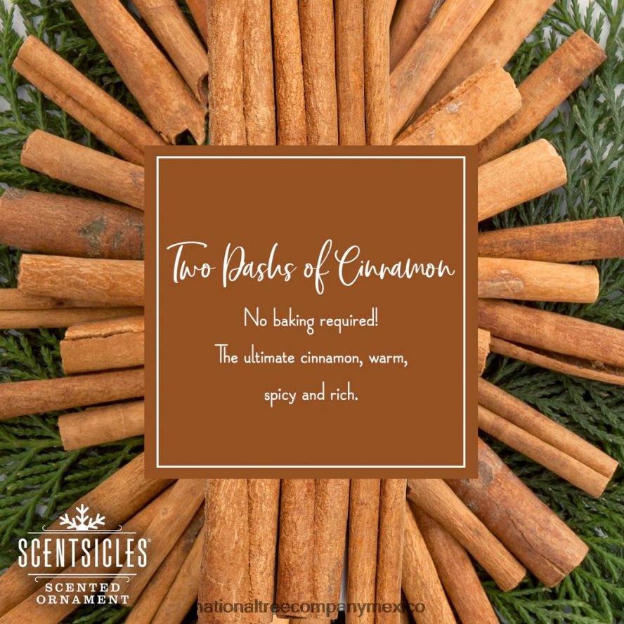 decoración | mx National Tree Company adornos perfumados, paquete de 2, botella de 6 ct, 2 pizcas de canela, palitos de papel con fragancia 8JB84J546