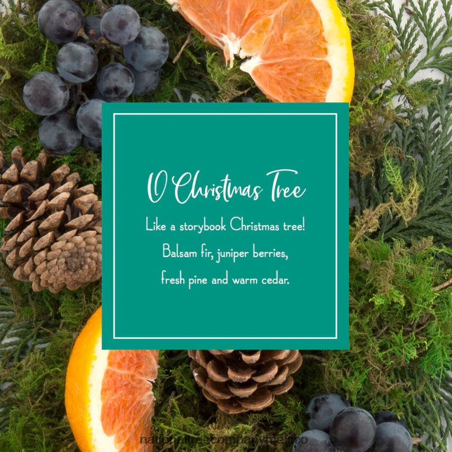 decoración | mx National Tree Company adornos perfumados, paquete de 2, botella de 6 quilates, árbol de Navidad, palitos de papel con fragancia 8JB84J542