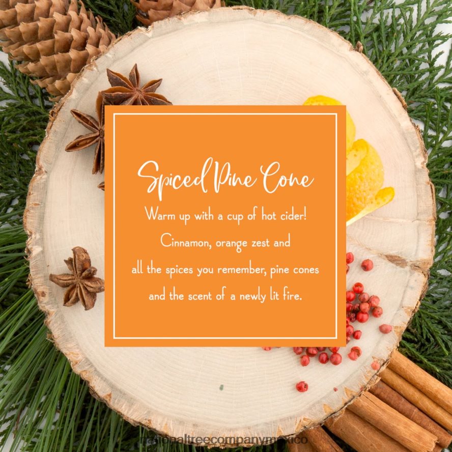 decoración | mx National Tree Company adornos perfumados, paquete de 2 botellas de 6 ct, piñas de pino especiadas, palitos de papel con fragancia 8JB84J544