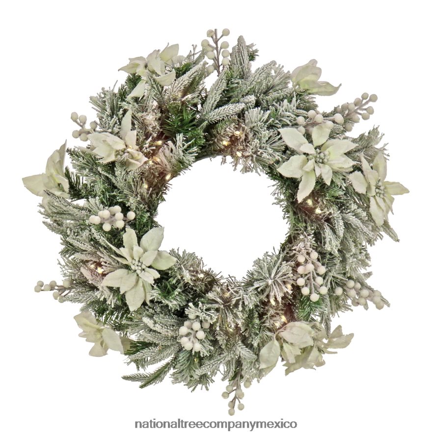 vegetación | mx National Tree Company corona navideña artificial preiluminada, estilo colonial esmerilado, luces LED blancas, funciona con pilas, 26 pulgadas 8JB84J270
