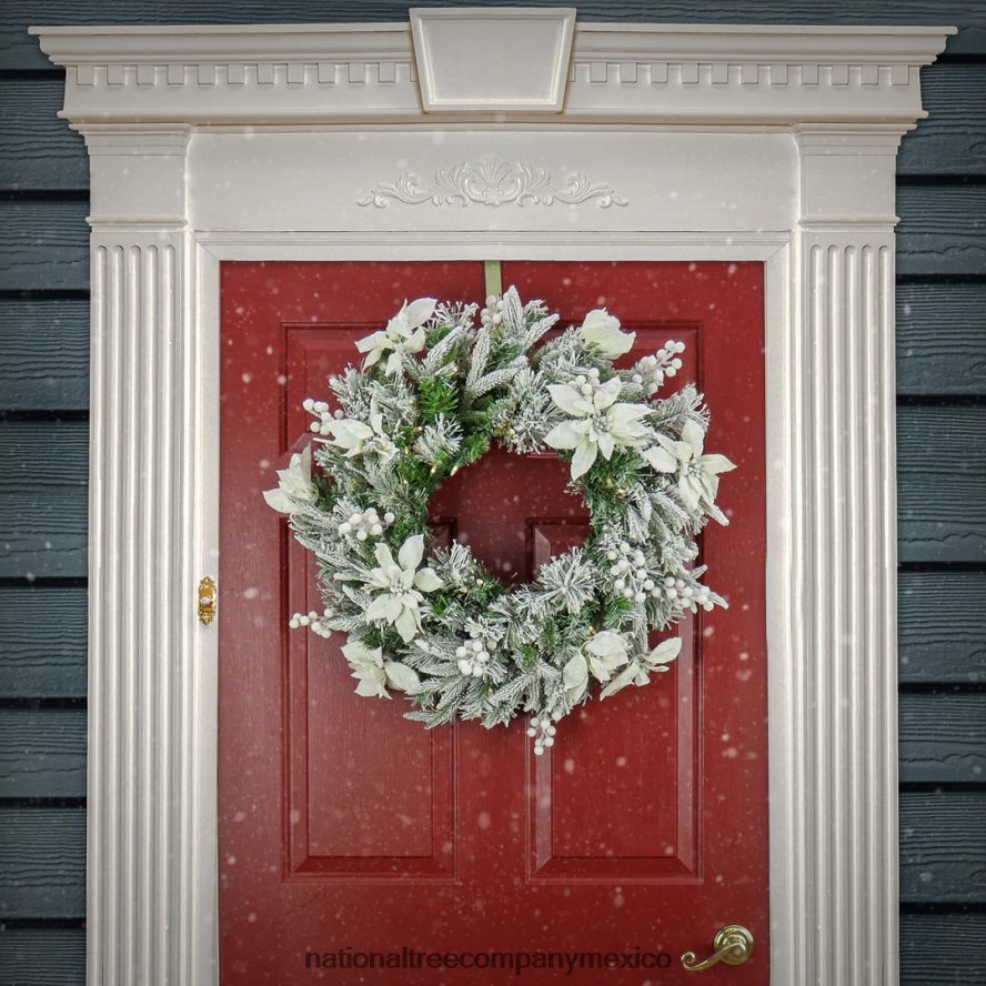 vegetación | mx National Tree Company corona navideña artificial preiluminada, estilo colonial esmerilado, luces LED blancas, funciona con pilas, 26 pulgadas 8JB84J270