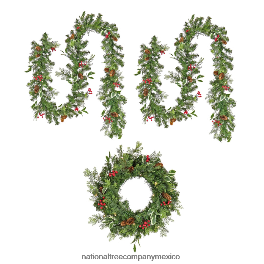 vegetación | mx National Tree Company Juego de 3 coronas y guirnaldas de bayas de acebo preiluminadas de la primera colección de tradiciones 8JB84J368