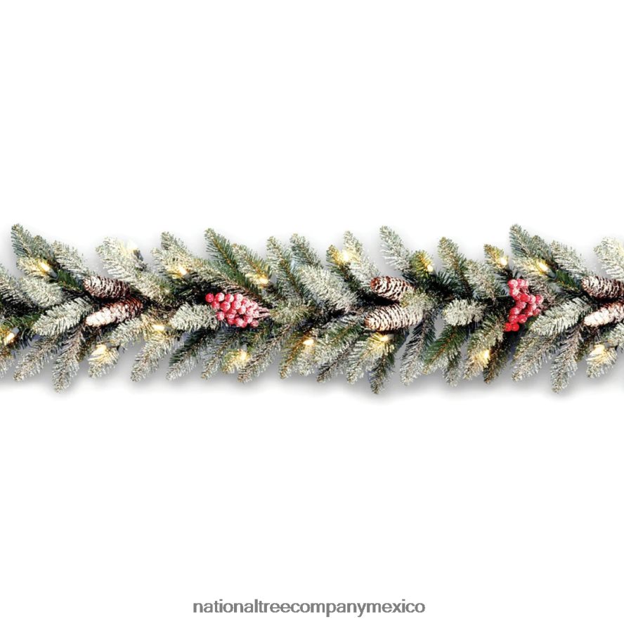 vegetación | mx National Tree Company Guirnalda de abeto dunhill(r) de 9 pies con luces claras 8JB84J346