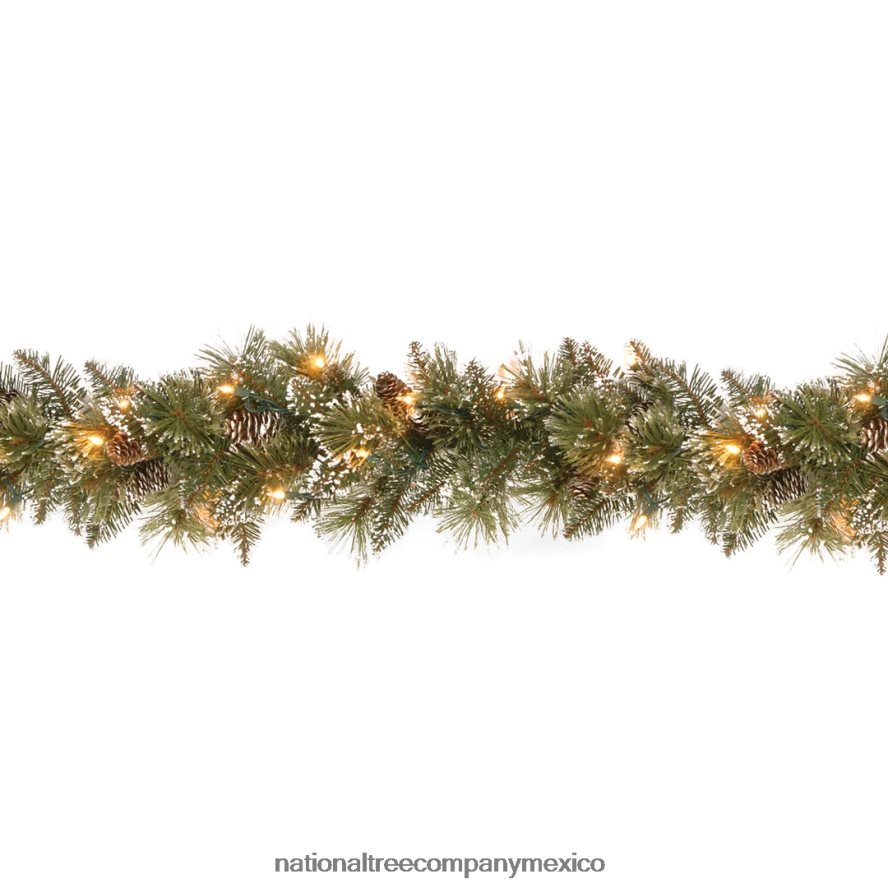 vegetación | mx National Tree Company Guirnalda de pino con cerdas brillantes de 9 pies y luces transparentes 8JB84J333