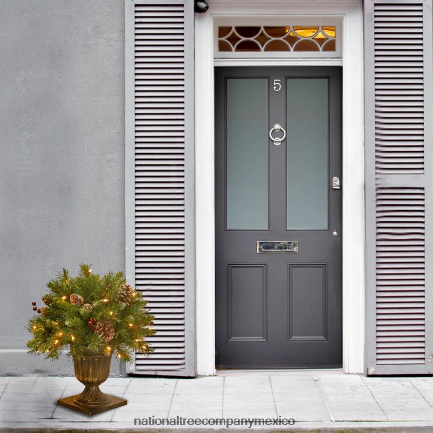 vegetación | mx National Tree Company Arbusto de porche de bayas esmeriladas de 18 pulgadas con luces claras 8JB84J468