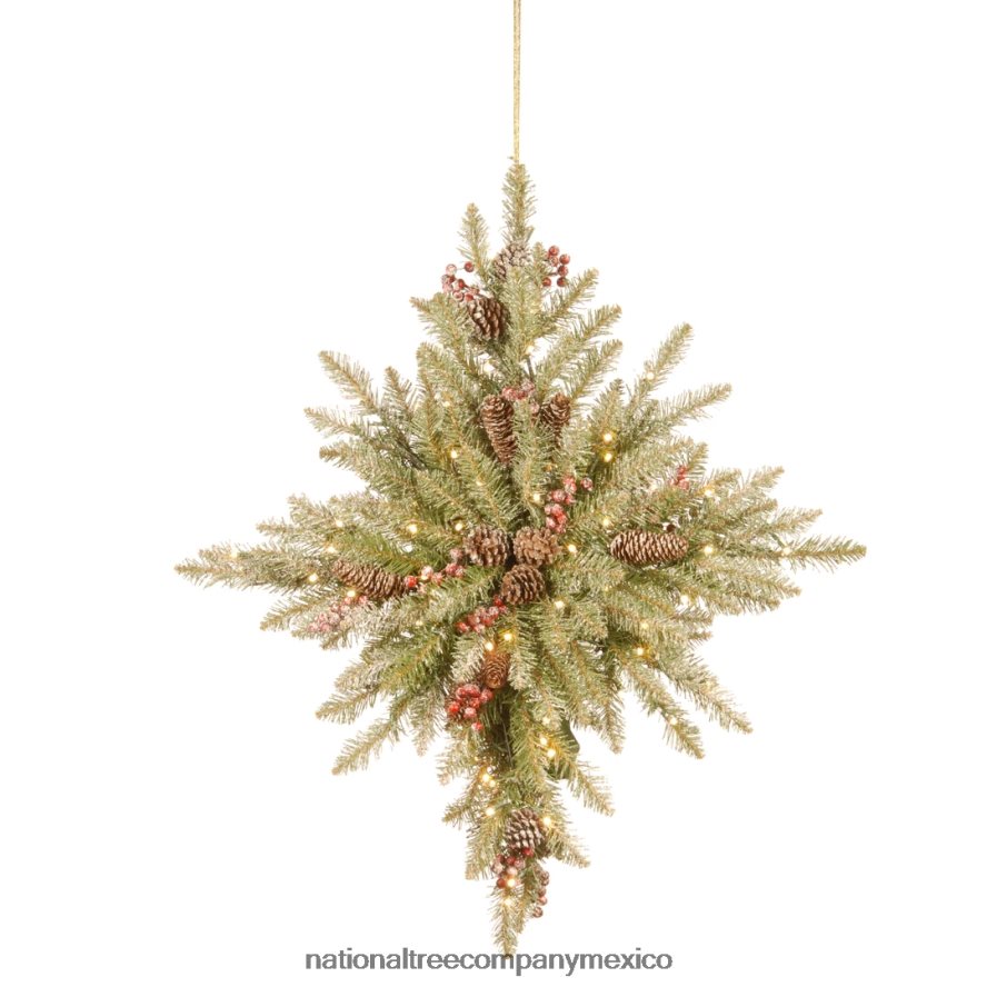 vegetación | mx National Tree Company Estrella de Belén de abeto dunhill nevado de 32 pulgadas con luces LED que funcionan con baterías 8JB84J496
