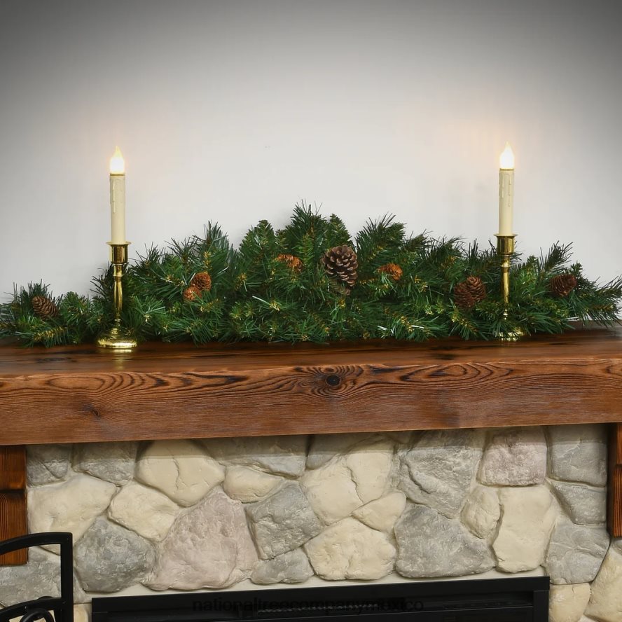 vegetación | mx National Tree Company Media luna de piña de 36